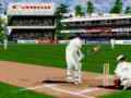 Download Cricket 1 Video