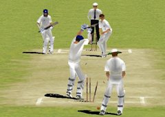 Brian Lara Cricket Screenshot