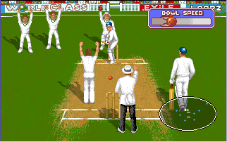 Graham Gooch World Class Cricket Screenshot