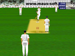 International Cricket Challenge Screenshot