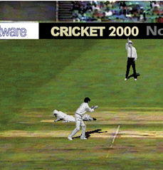 World Cricket Screenshot