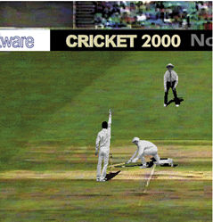 World Cricket 2000 Screenshot