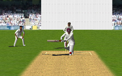 Cricket Screenshot