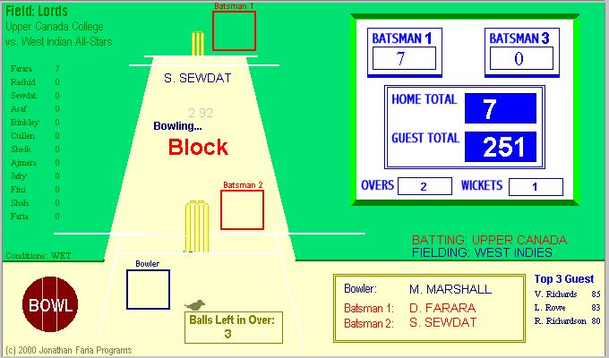Cricket Wicket Screenshot